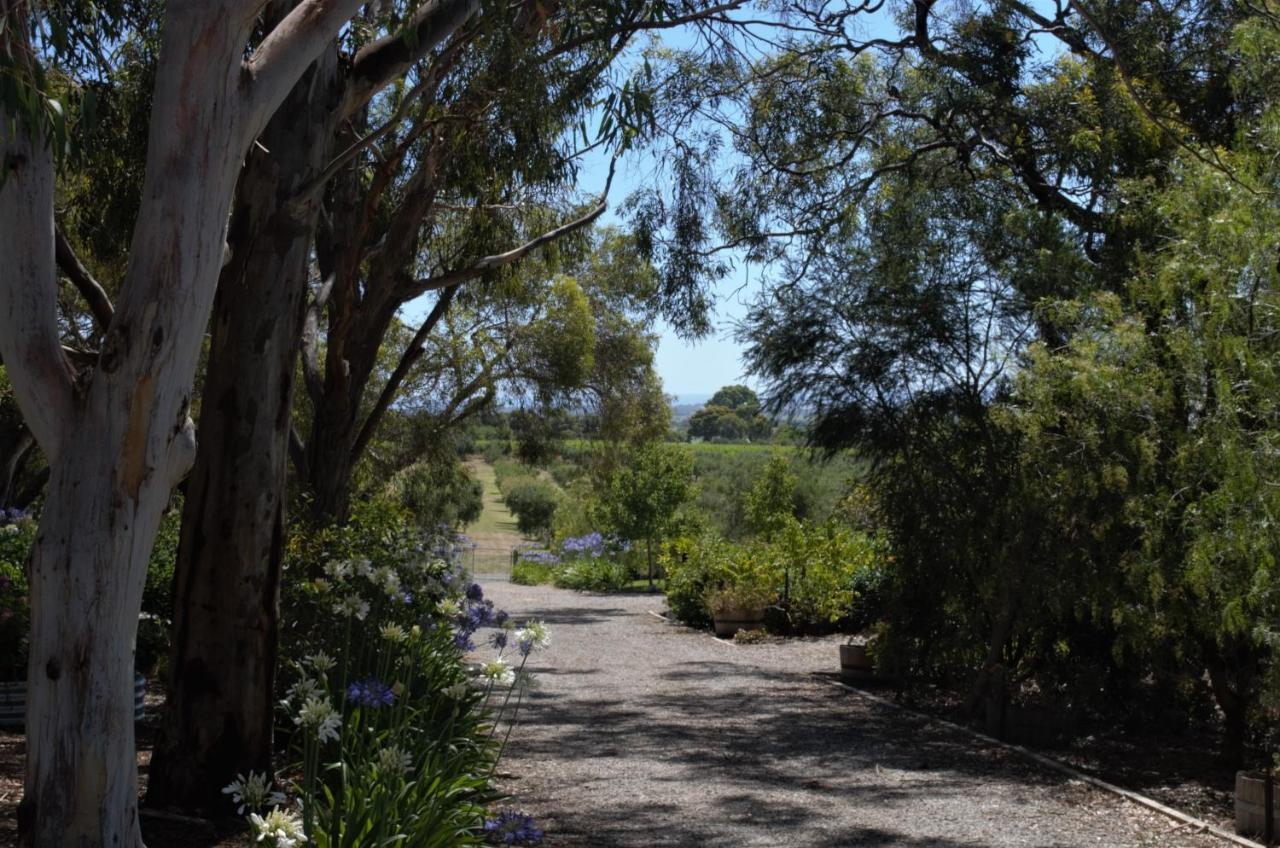 Bed and Breakfast The Farm Willunga Exterior foto