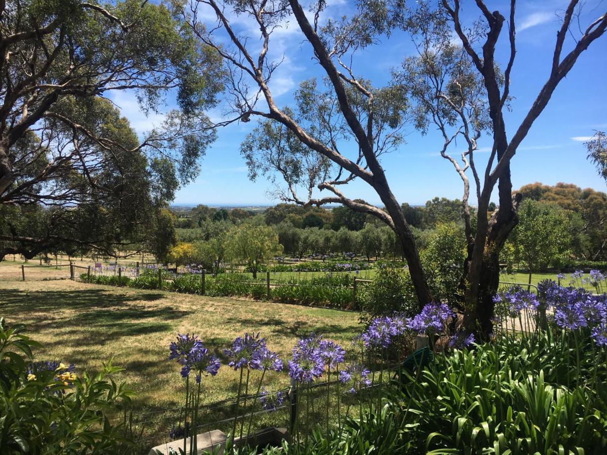 Bed and Breakfast The Farm Willunga Exterior foto