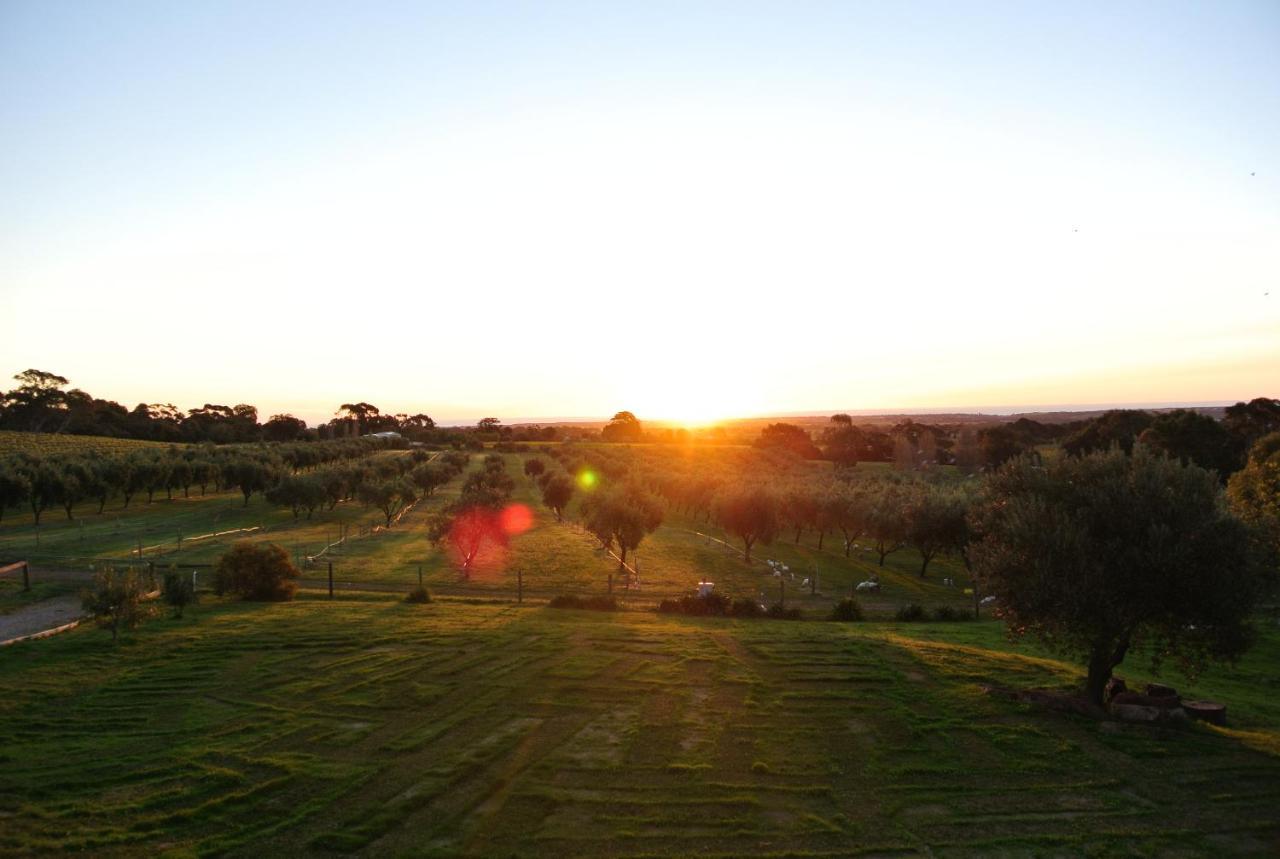 Bed and Breakfast The Farm Willunga Zimmer foto