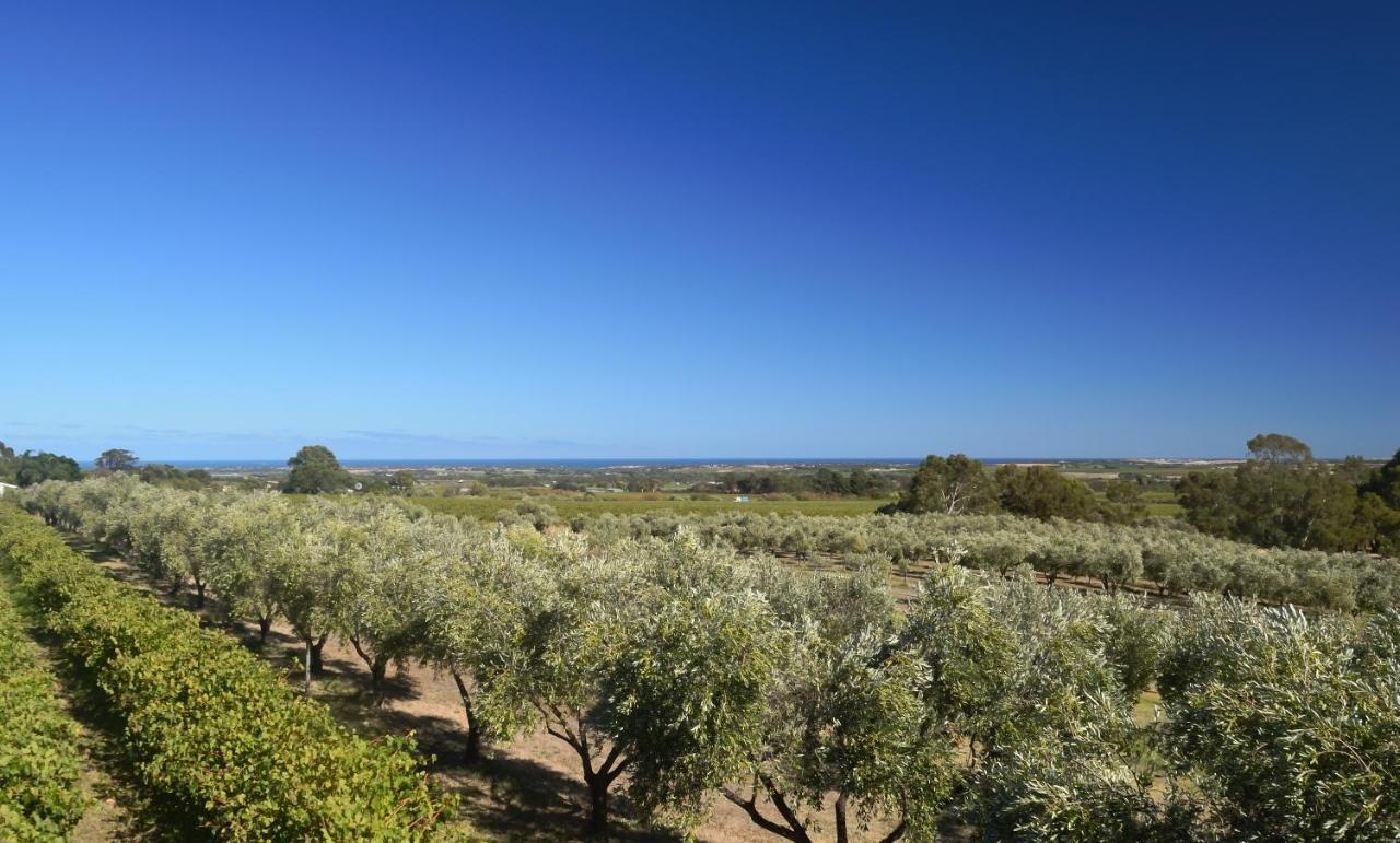 Bed and Breakfast The Farm Willunga Exterior foto