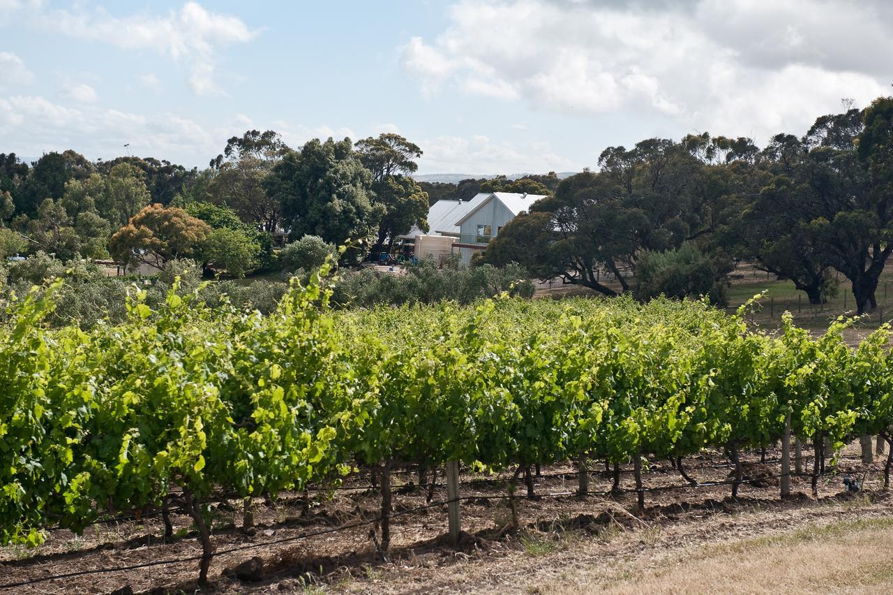 Bed and Breakfast The Farm Willunga Exterior foto