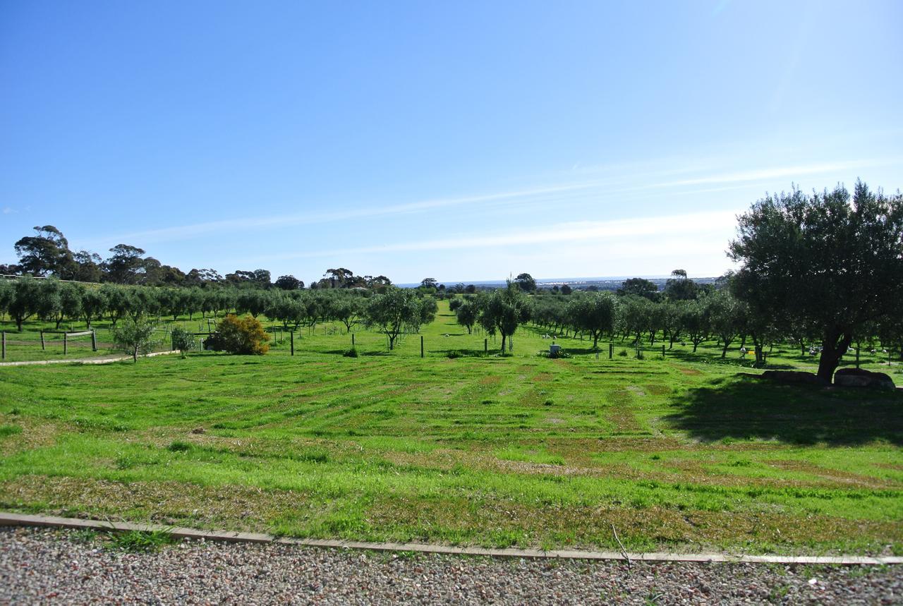 Bed and Breakfast The Farm Willunga Exterior foto