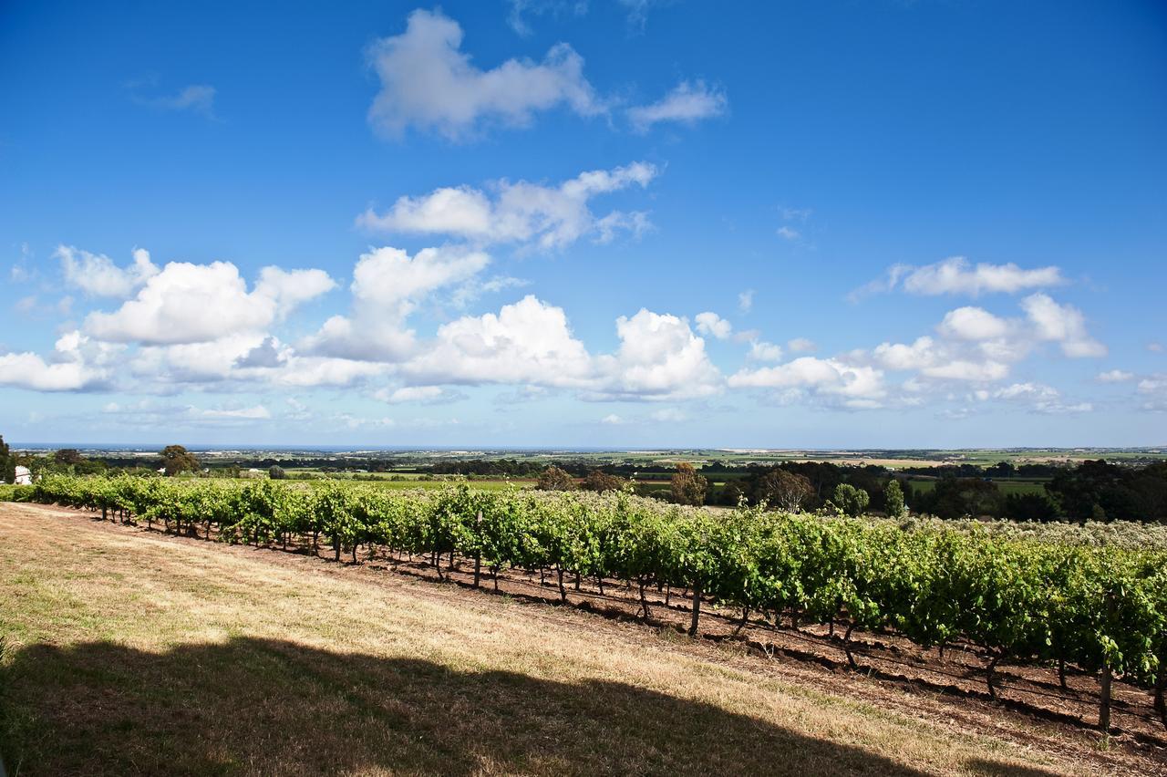 Bed and Breakfast The Farm Willunga Exterior foto